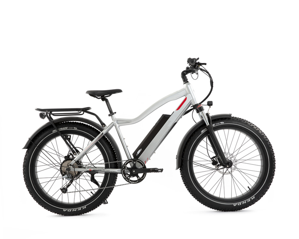 Lee9050 Electric Mountain Bike Fat Tire High Power Motor