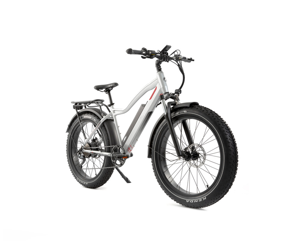 Lee9050 Electric Mountain Bike Fat Tire High Power Motor