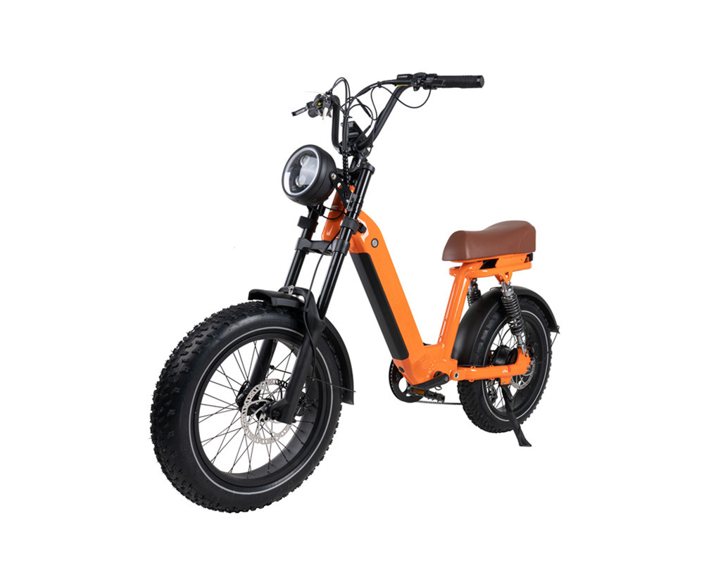 Lee9420 Moped-Style Electric Bike